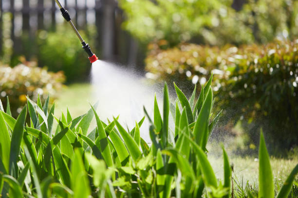 24/7 Emergency Cockroach Control experts in Pendleton, OR