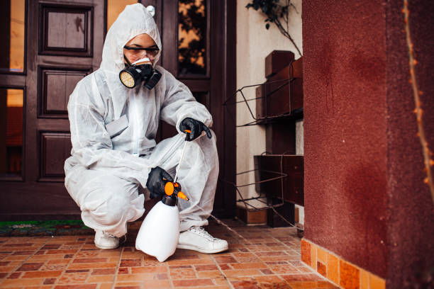 Reliable Cockroach Control contractor in Pendleton, OR by Nex Pest Control